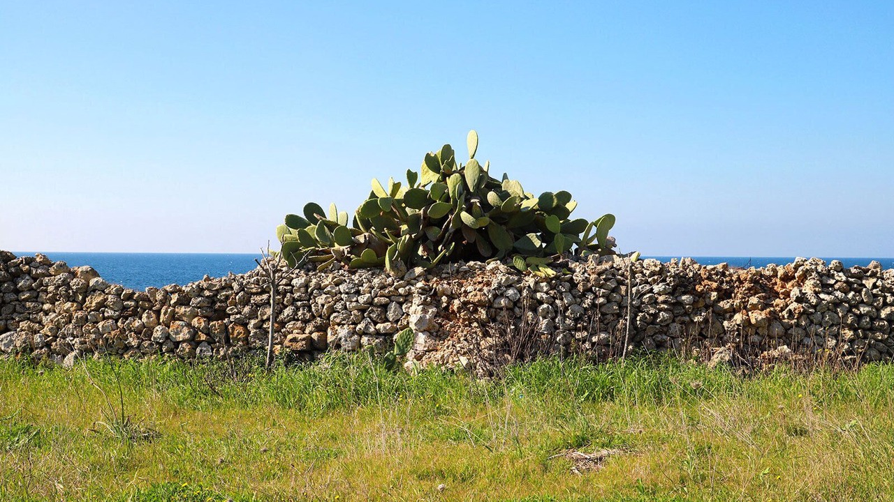 Photo of Outdoor in Posto Rosso
