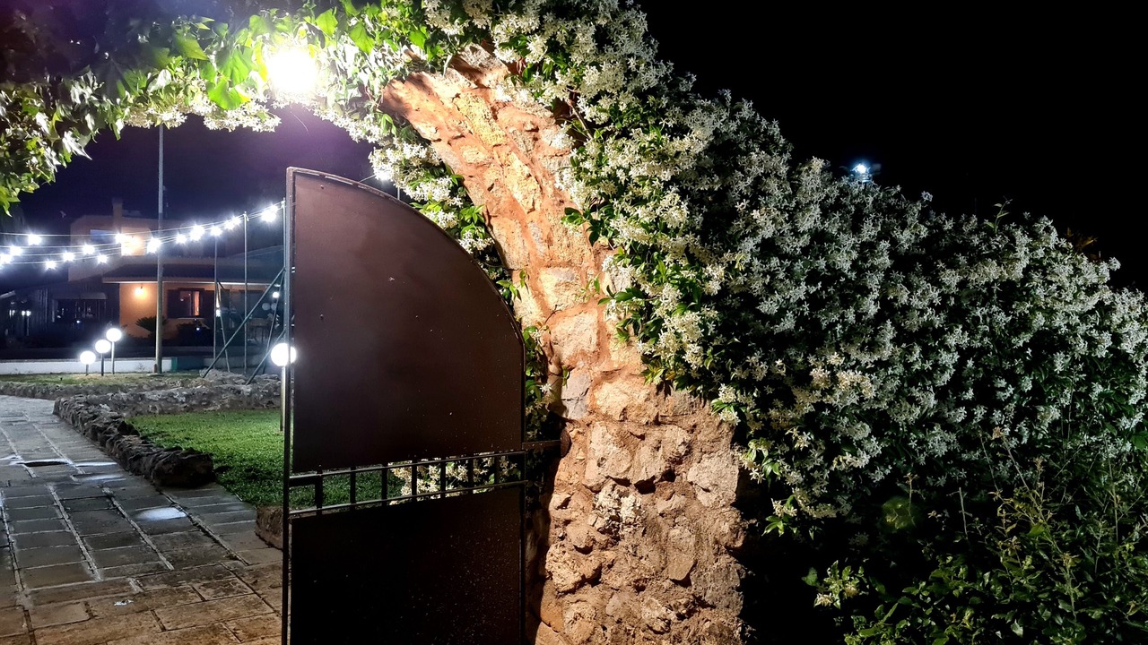 Photo of Outdoor in Galatina