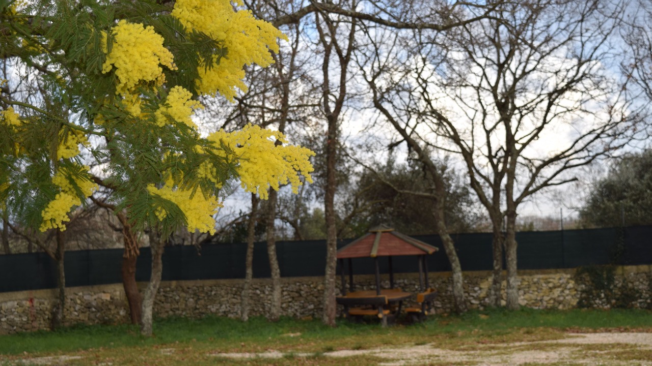 Photo of Outdoor in Alberobello