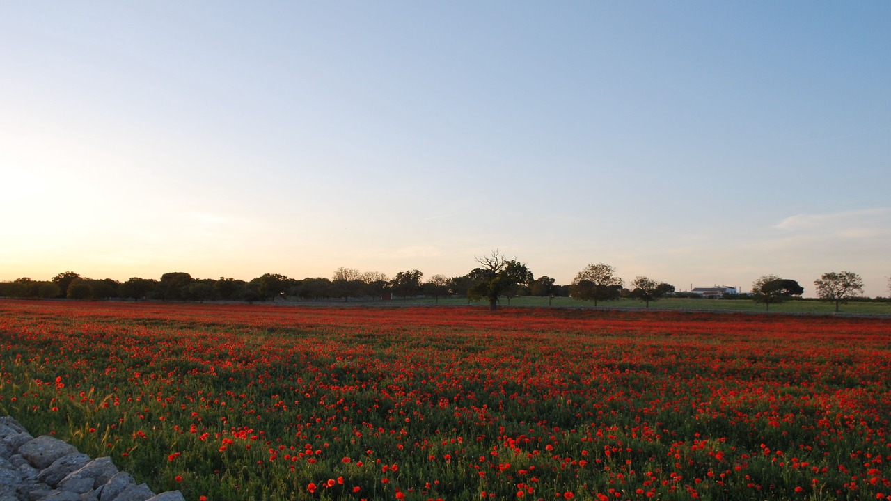 Photo of Outdoor in Coreggia