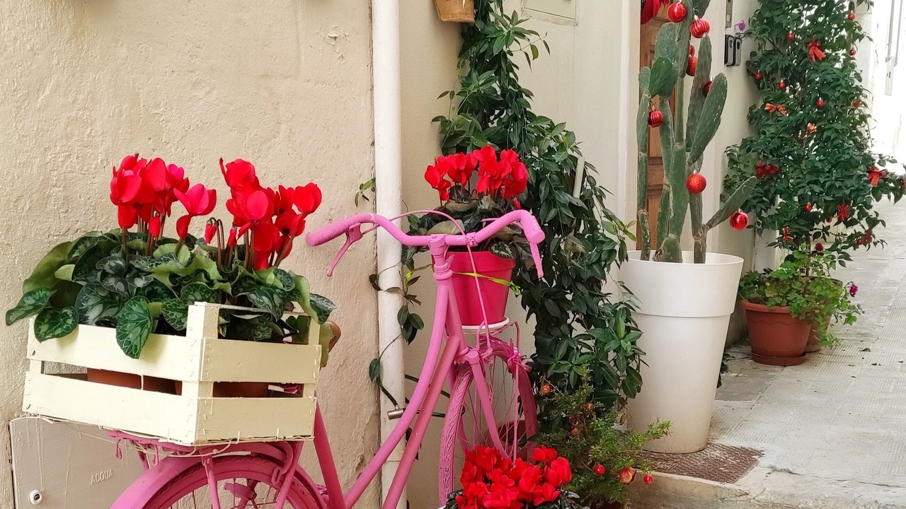 Photo of Outdoor in Castellaneta
