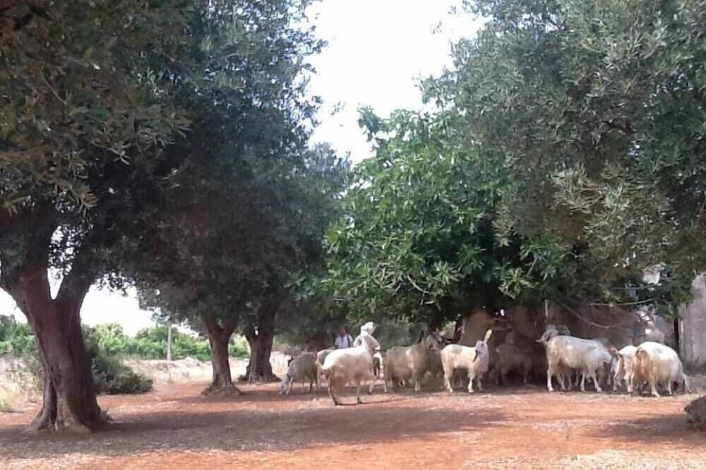 Photo of Outdoor in Casarano