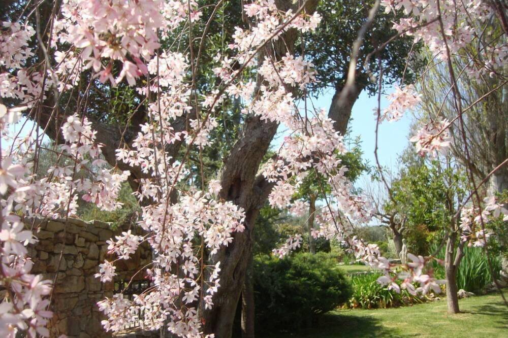 Photo of Outdoor in Casarano