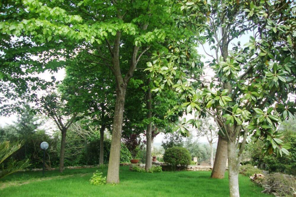 Photo of Outdoor in Casarano