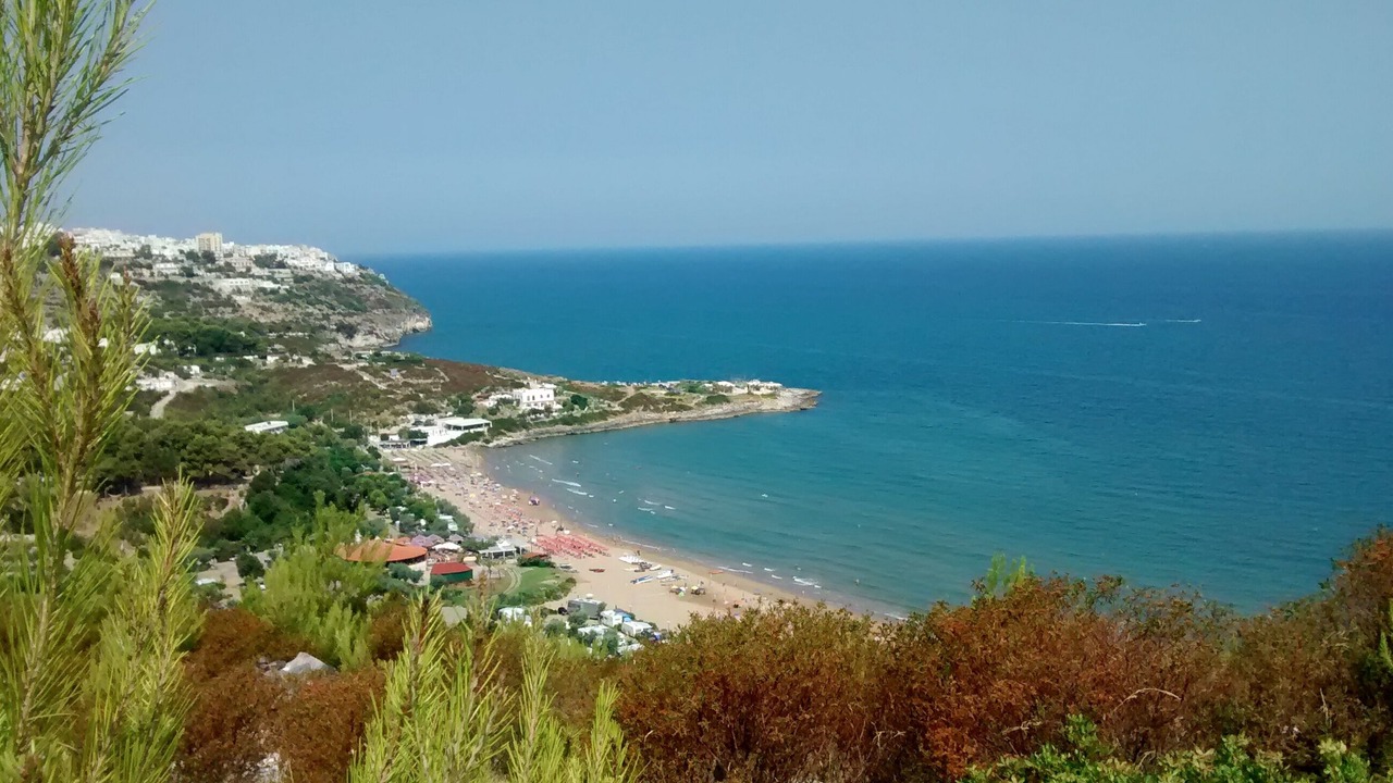 Photo of Others in Peschici