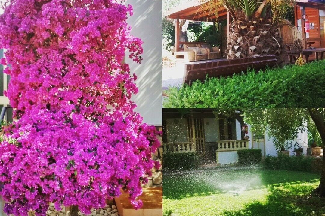 Photo of Outdoor in Peschici