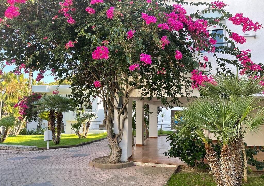 Photo of Outdoor in Mattinata