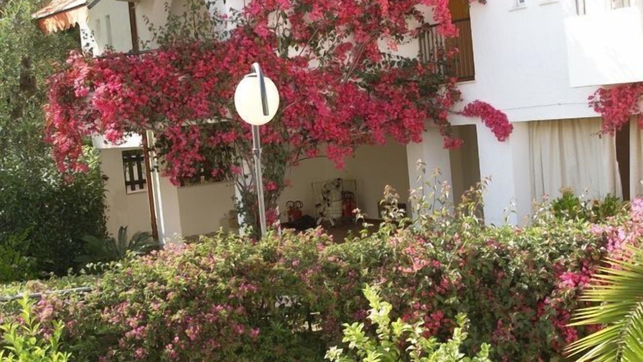 Photo of Outdoor in Mattinata