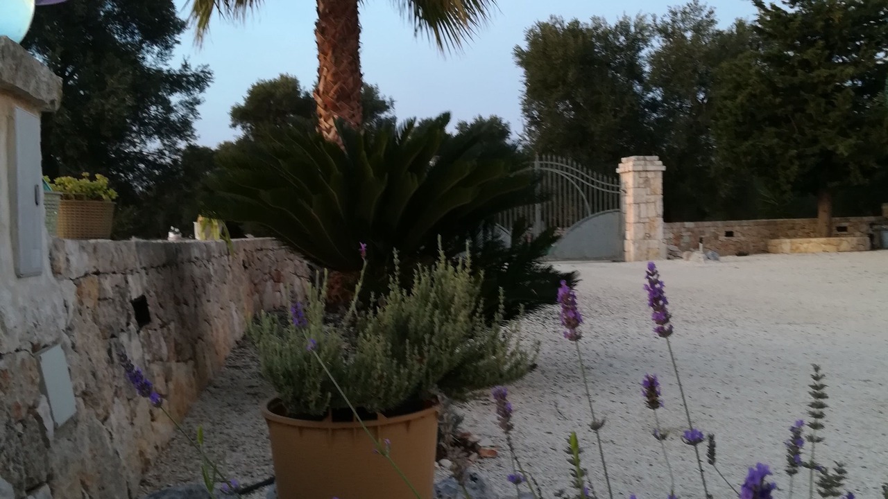 Photo of Outdoor in Carovigno