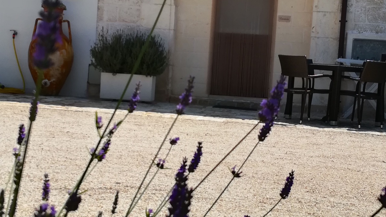 Photo of Bedroom in Carovigno