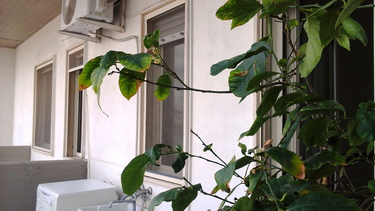 Photo of Outdoor in Cassano delle Murge