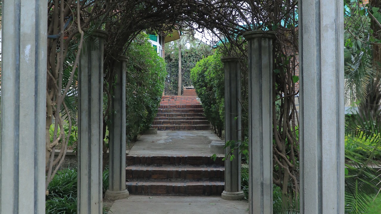 Photo of Outdoor in Awassa