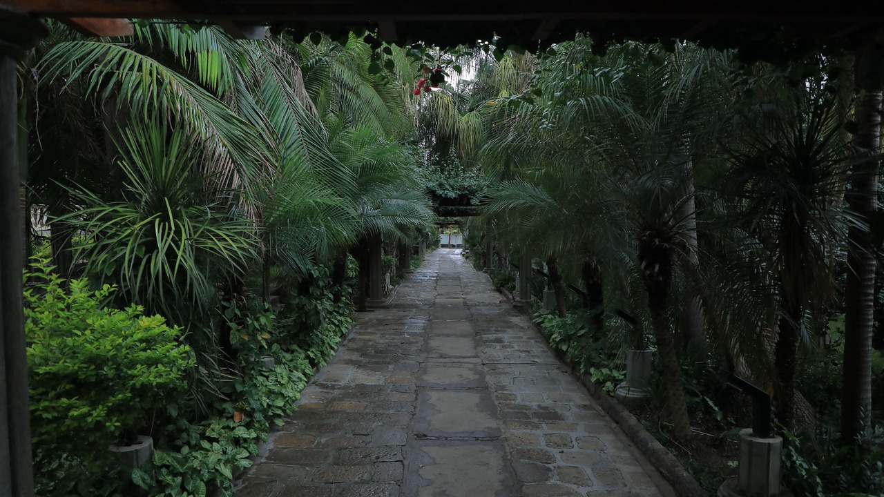 Photo of Outdoor in Awassa
