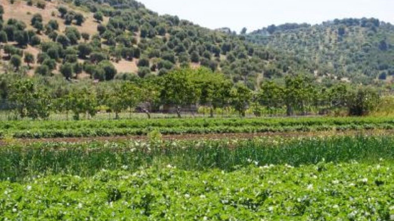 Photo of Outdoor in Chiesiola
