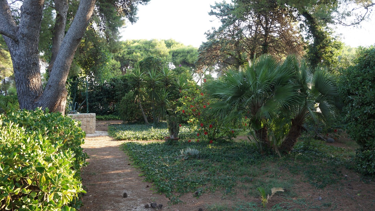 Photo of Outdoor in Specchiolla