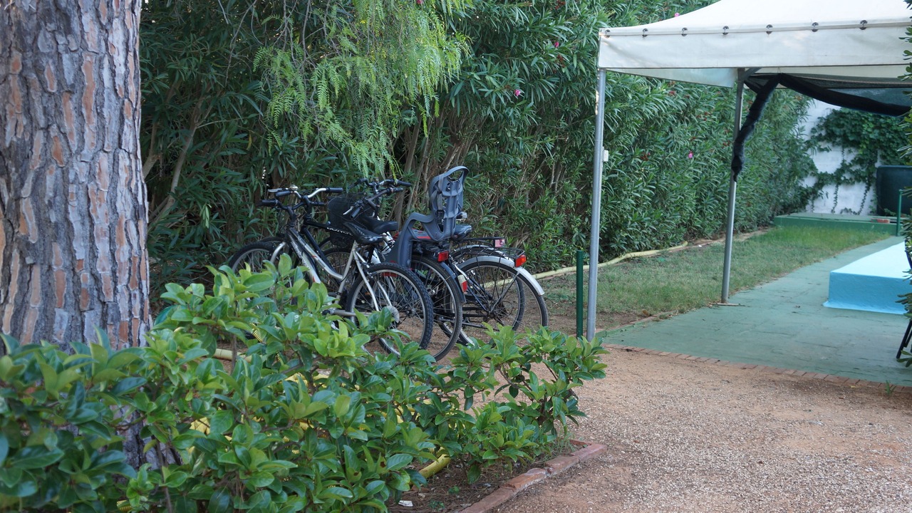 Photo of Outdoor in Specchiolla