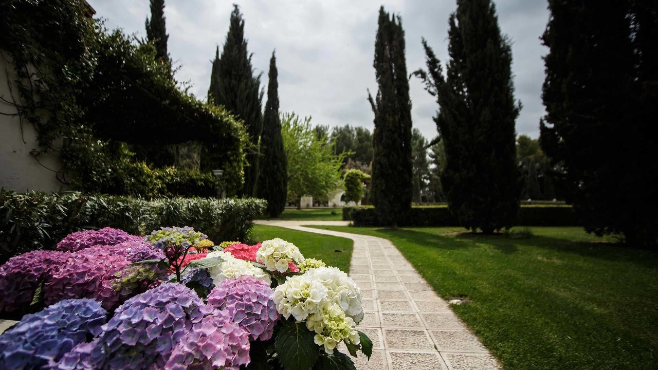 Photo of Outdoor in Foggia