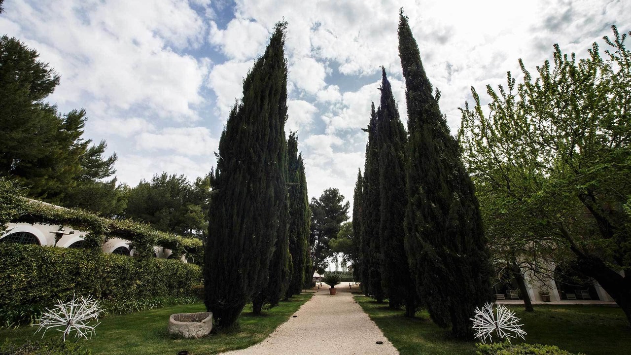 Photo of Outdoor in Foggia