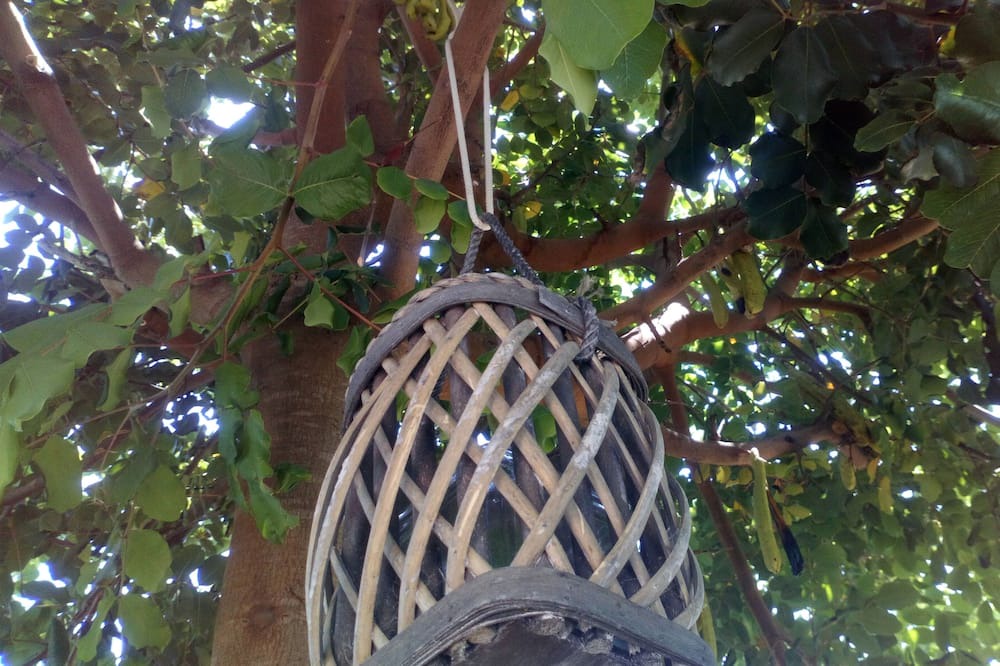 Photo of Outdoor in Santa Maria di Leuca