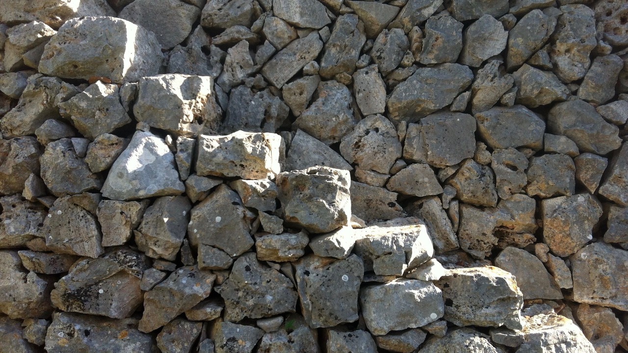 Photo of Others in Torre Pali