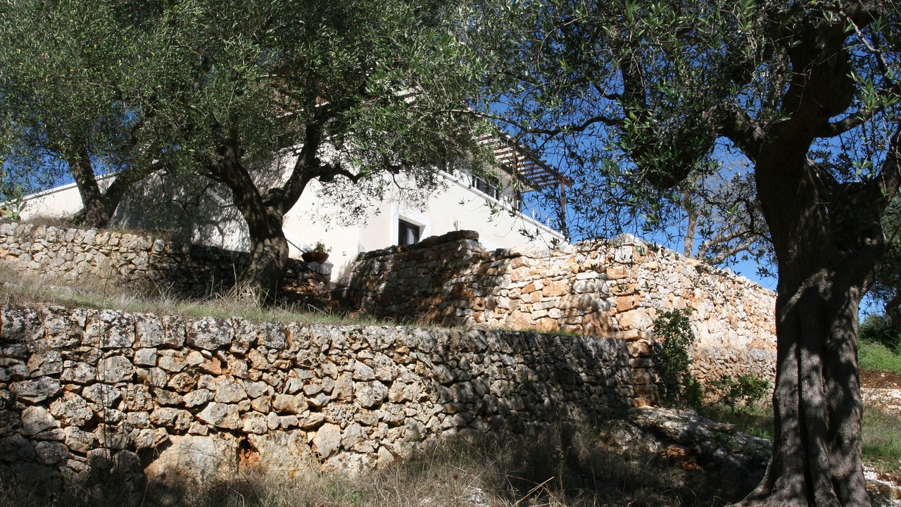 Photo of Outdoor in Casalini