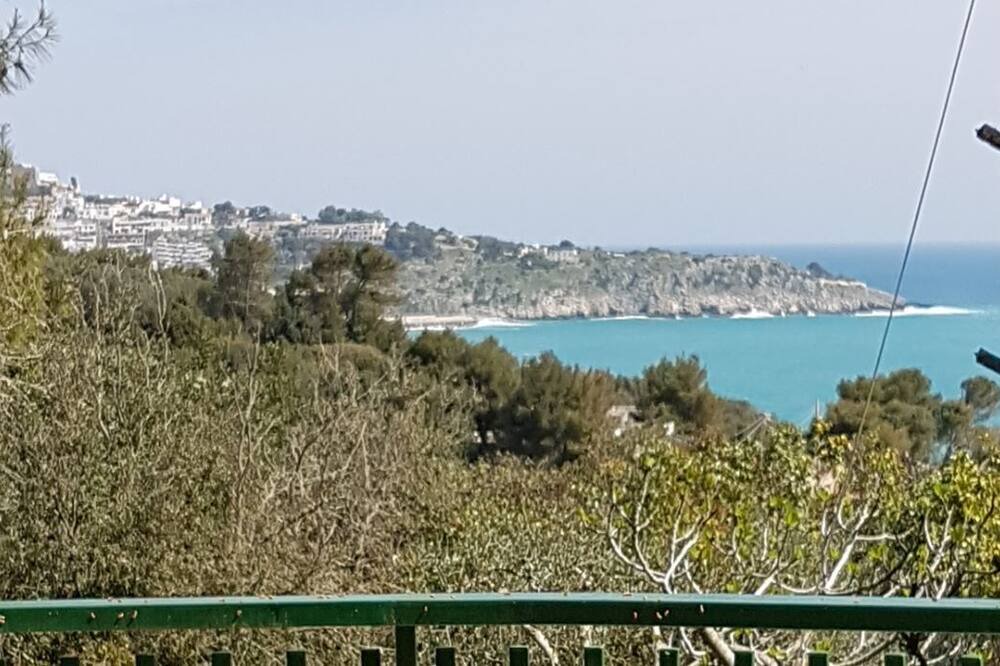 Photo of Patio Balcony in Diso