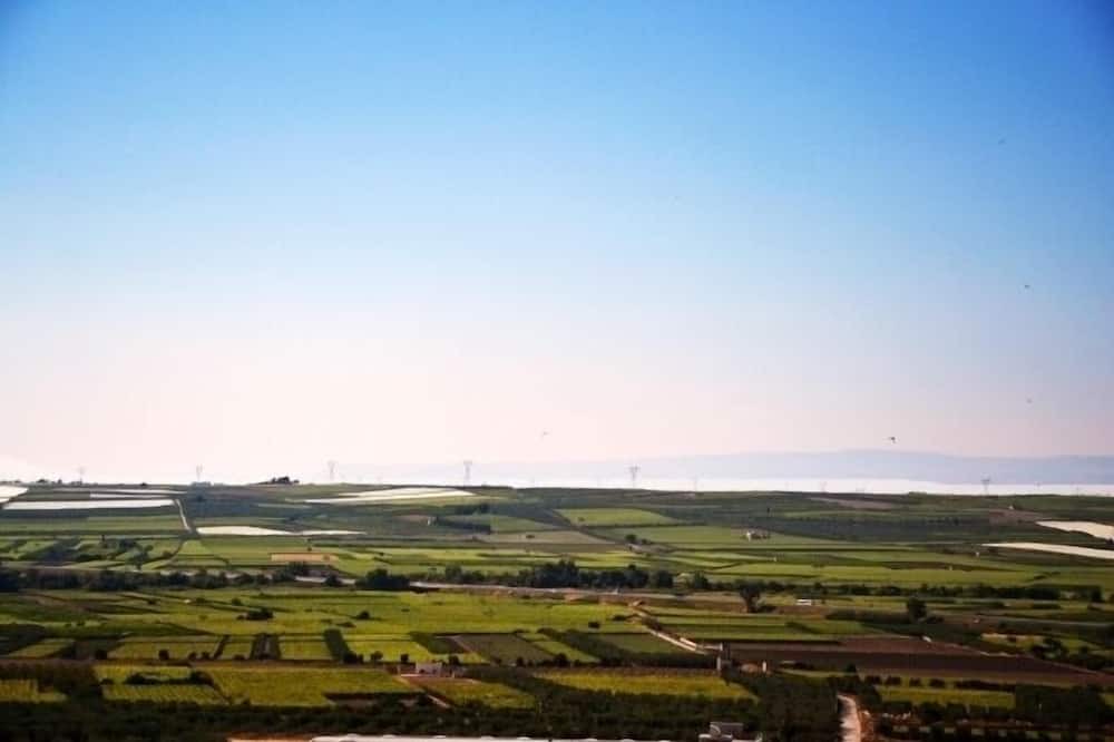 Photo of Others in Canosa di Puglia