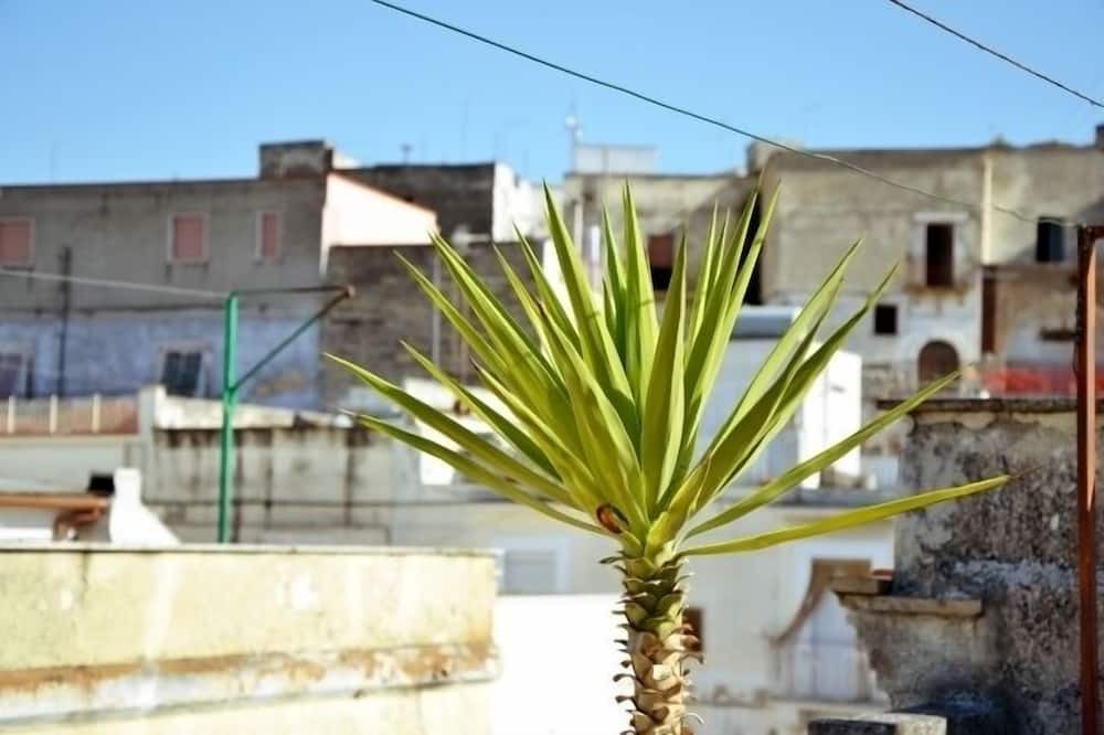 Photo of Outdoor in Canosa di Puglia