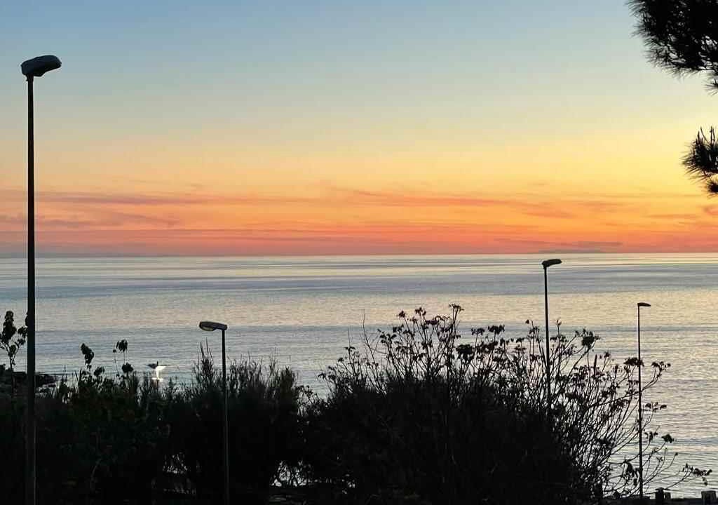 Photo of Others in Marina San Gregorio
