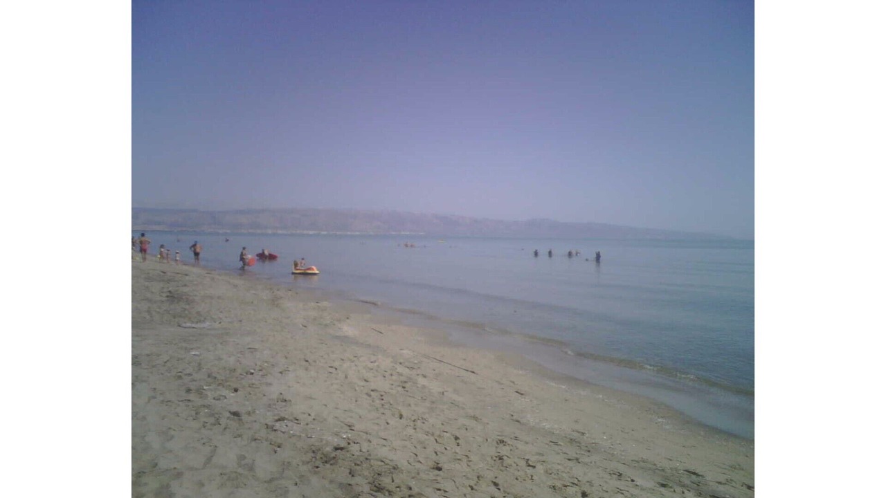Photo of Others in Ippocampo