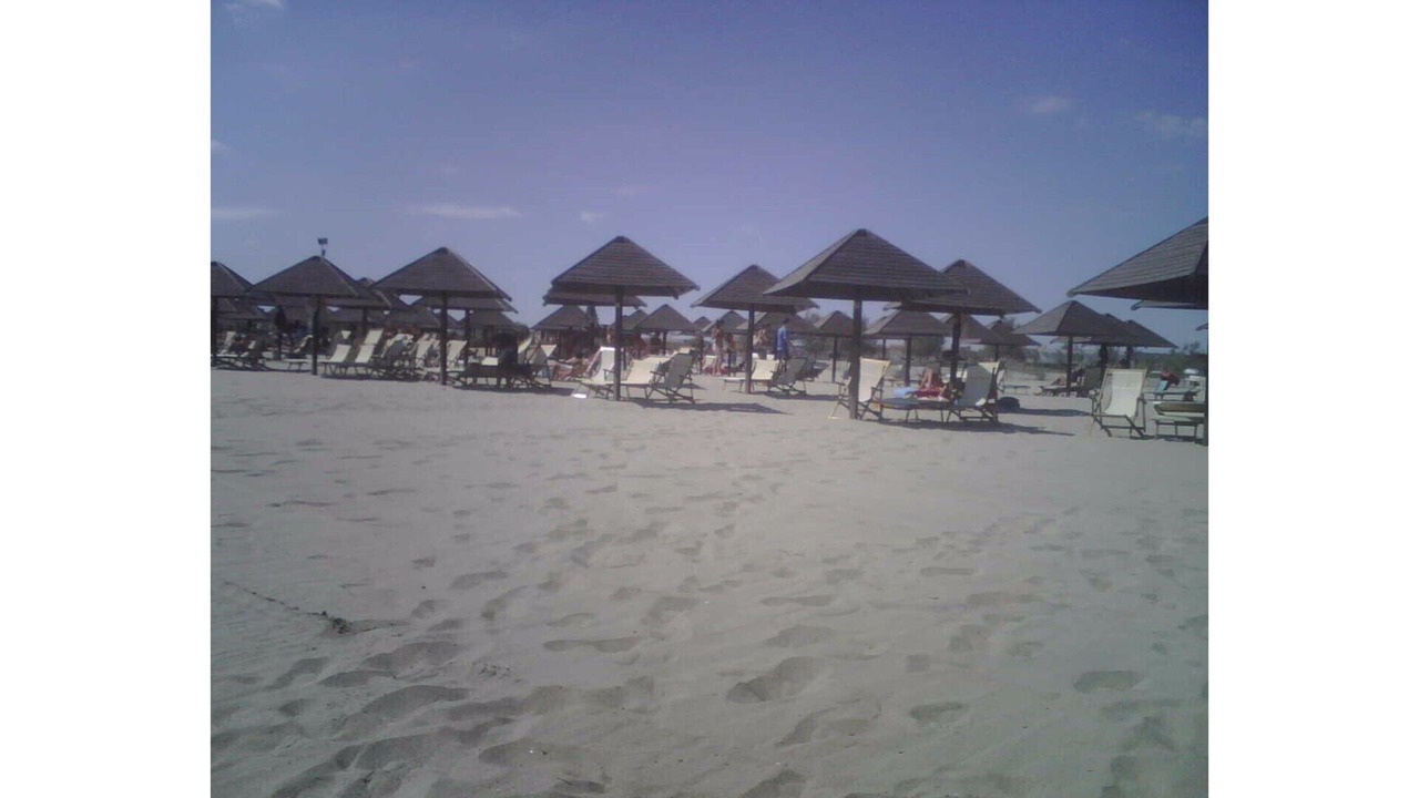 Photo of Others in Ippocampo