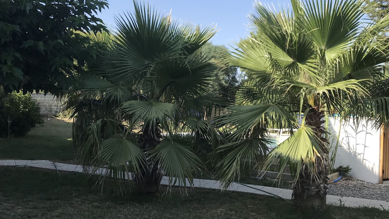 Photo of Outdoor in Campomarino di Maruggio