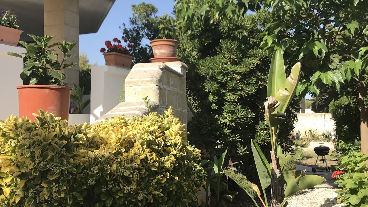Photo of Outdoor in Campomarino di Maruggio