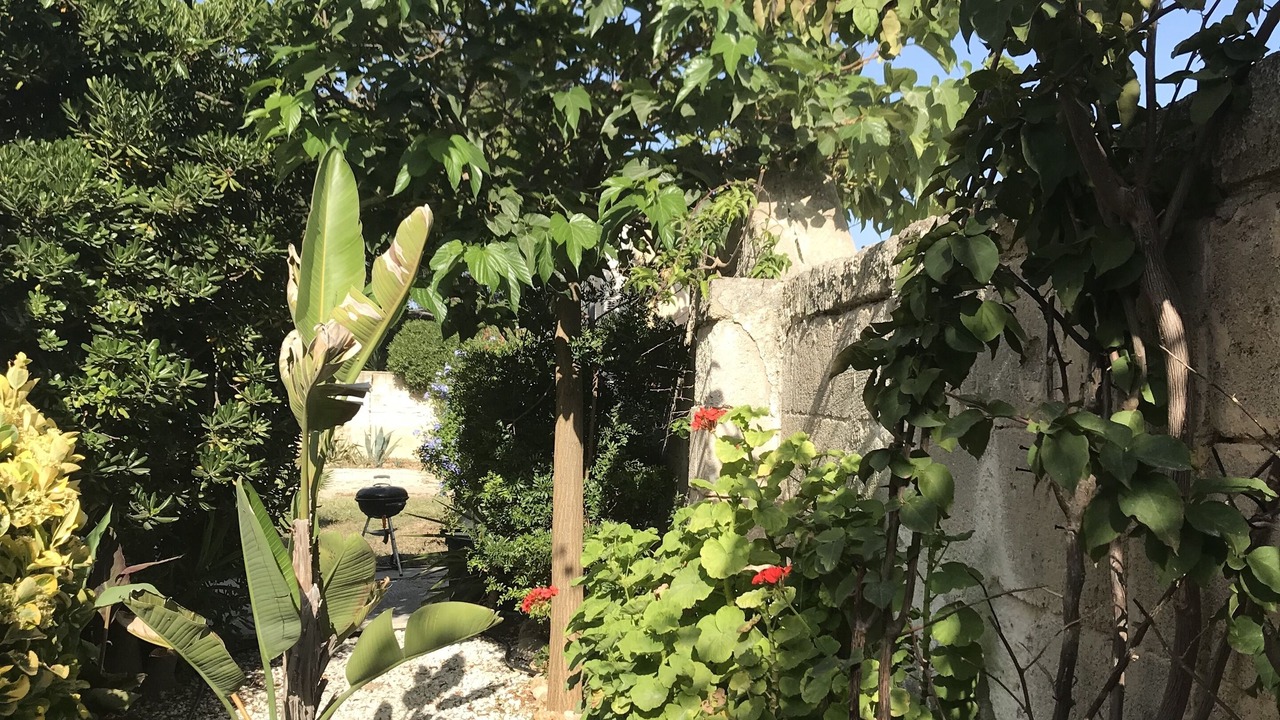 Photo of Outdoor in Campomarino di Maruggio