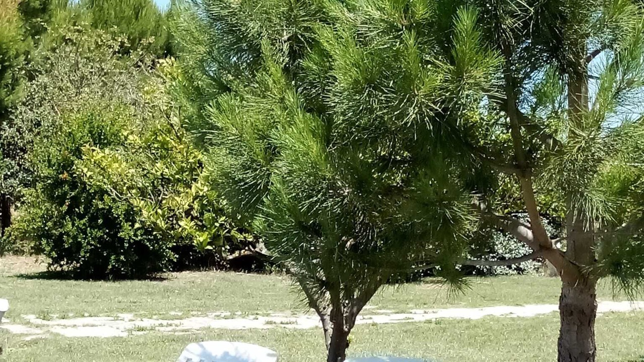 Photo of Outdoor in Carmiano