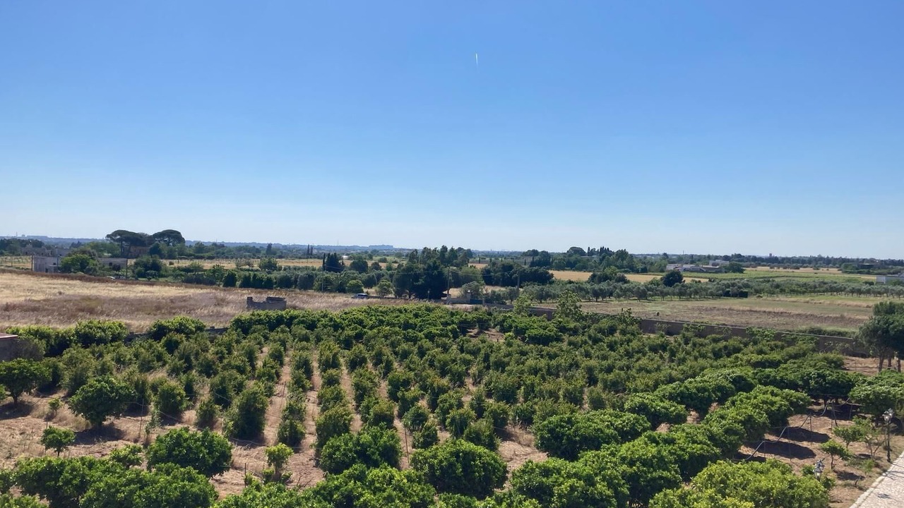 Photo of Outdoor in Carmiano
