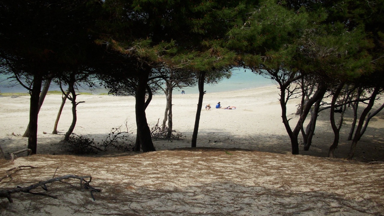 Photo of Others in Rivabella