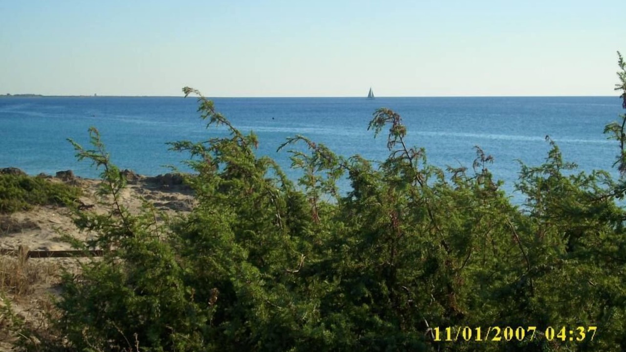 Photo of Others in Rivabella