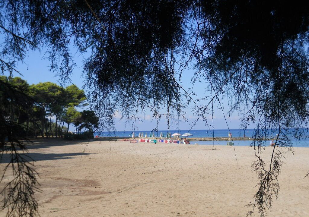 Photo of Others in Rivabella