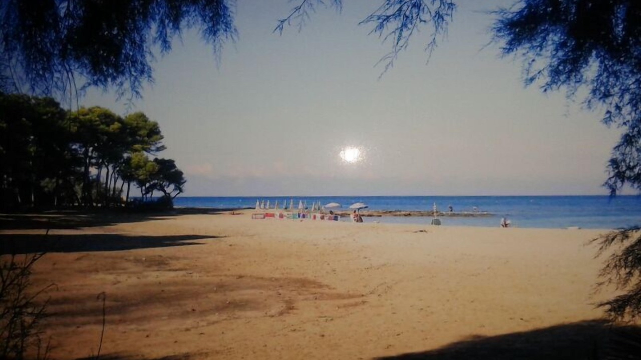 Photo of Others in Rivabella