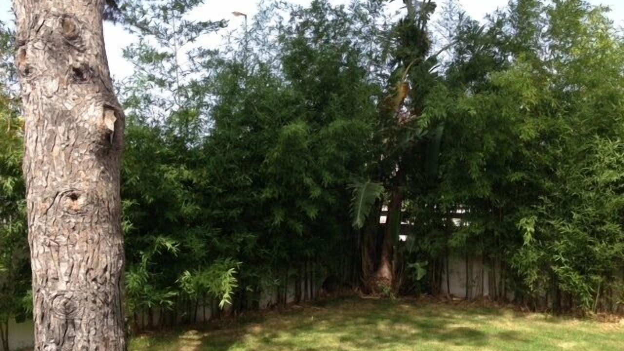 Photo of Outdoor in Fontanelle