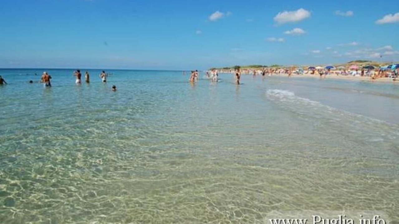 Photo of Others in Fontanelle