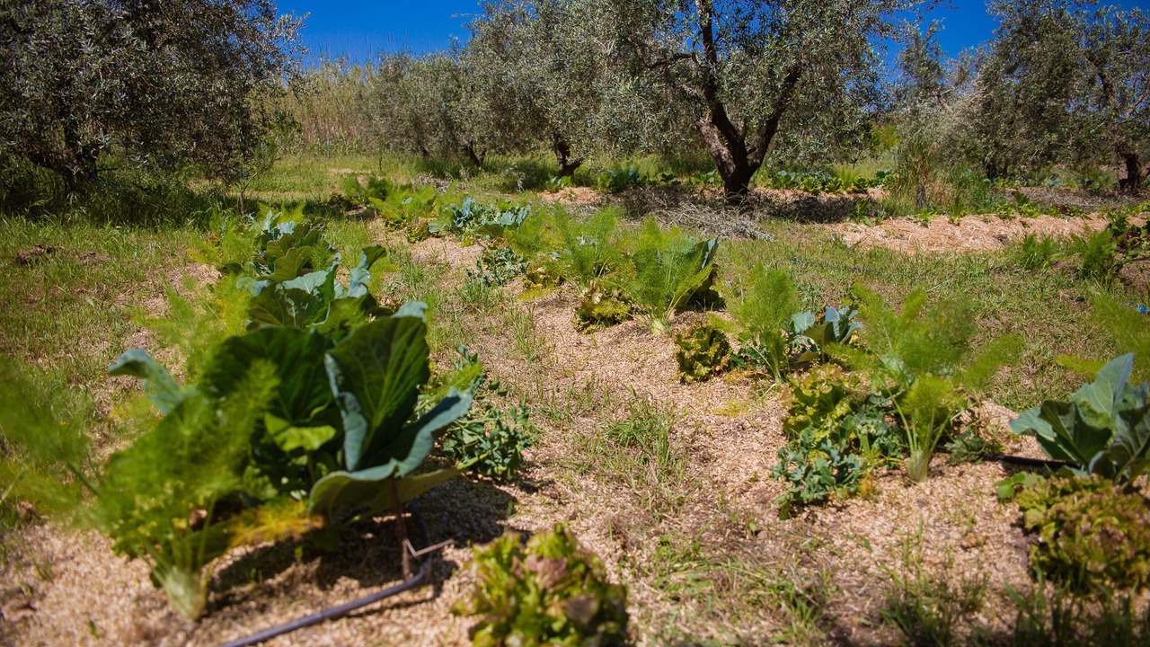 Photo of Outdoor in Cutrofiano