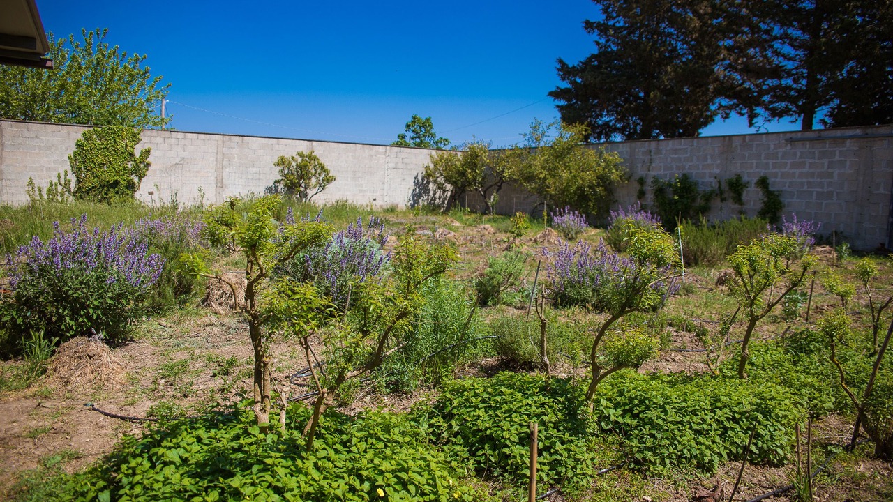 Photo of Outdoor in Cutrofiano