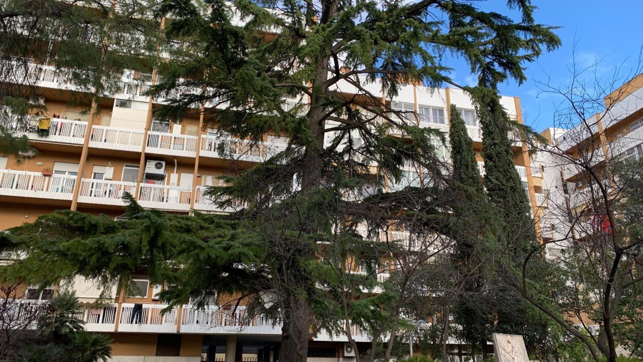 Photo of Outdoor in Canosa di Puglia