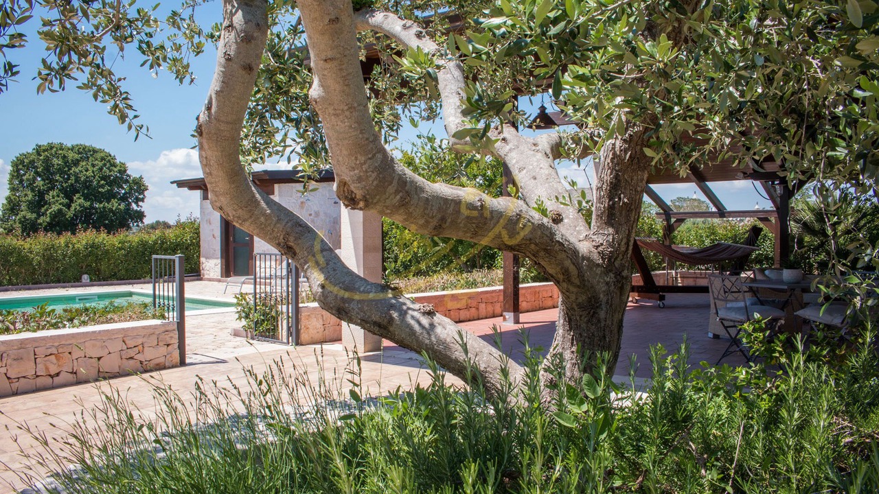 Photo of Outdoor in Monopoli