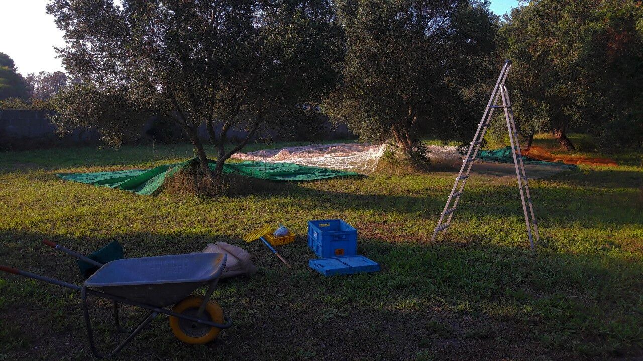 Photo of Outdoor in Roca Vecchia