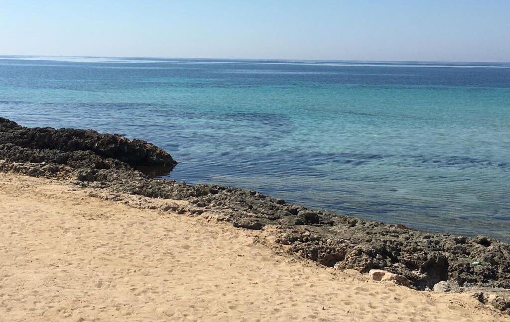 Photo of Others in Taranto