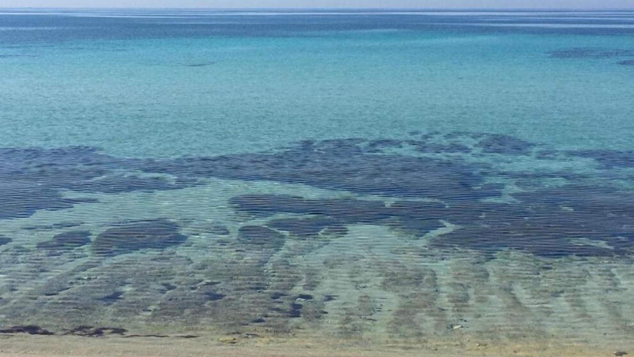 Photo of Others in Taranto