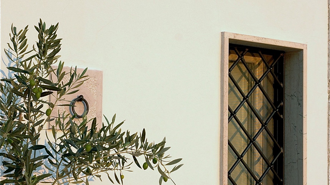 Photo of Outdoor in Ripalta